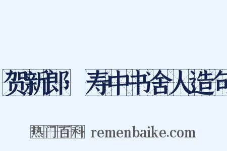 贺新郎·寿中书舍人造句是什么意思的图片